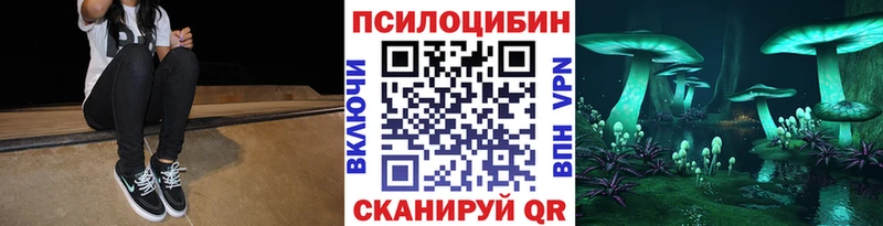 блэк спрут ССЫЛКА Алдан Галлюциногенные грибы Psilocybine cubensis